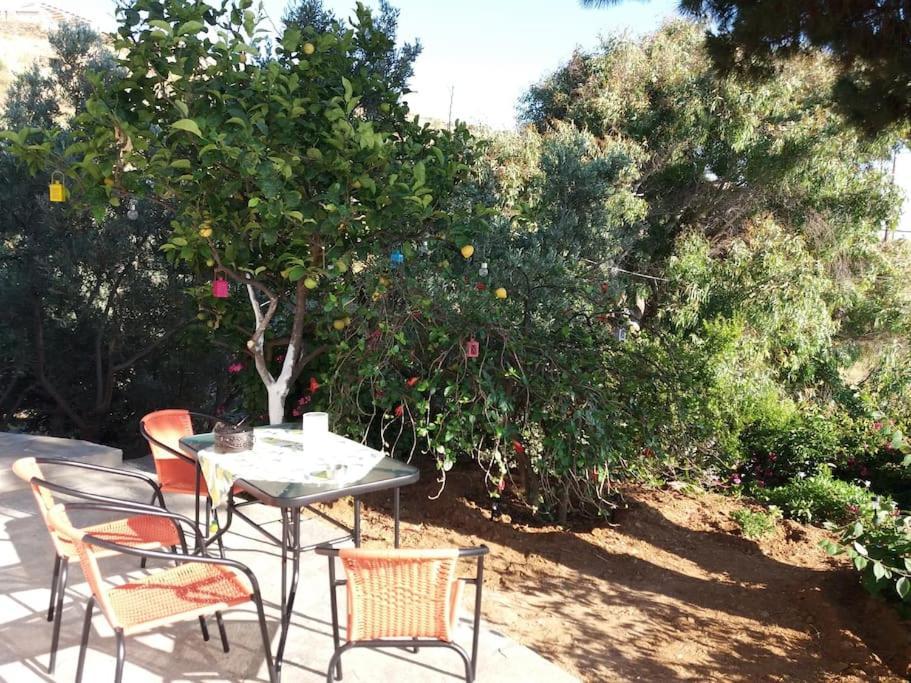 Grandpa Simos' Traditional Guest House Agios Romanos Екстериор снимка