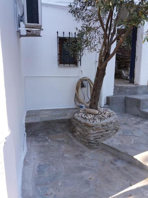 Grandpa Simos' Traditional Guest House Agios Romanos Екстериор снимка