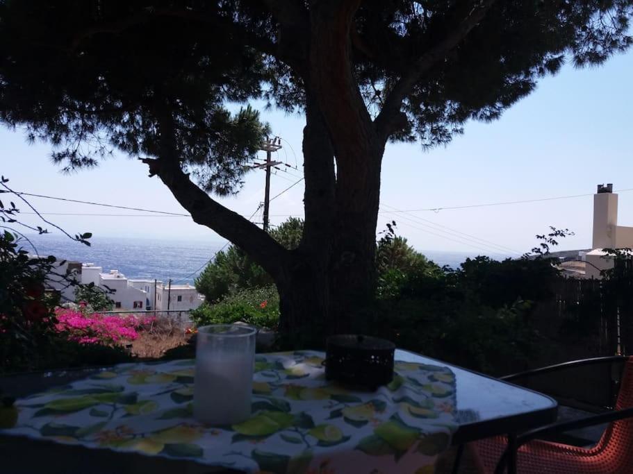 Grandpa Simos' Traditional Guest House Agios Romanos Екстериор снимка