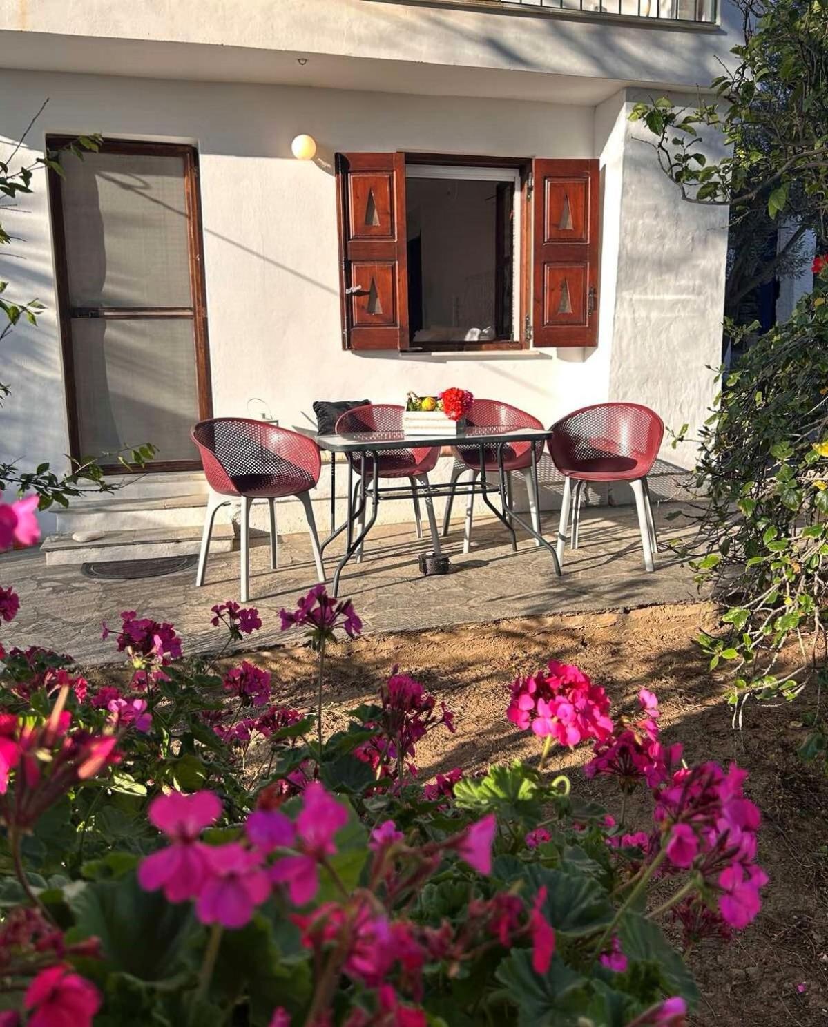 Grandpa Simos' Traditional Guest House Agios Romanos Екстериор снимка