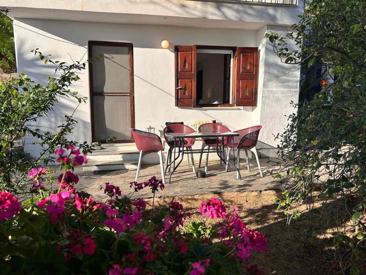 Grandpa Simos' Traditional Guest House Agios Romanos Екстериор снимка