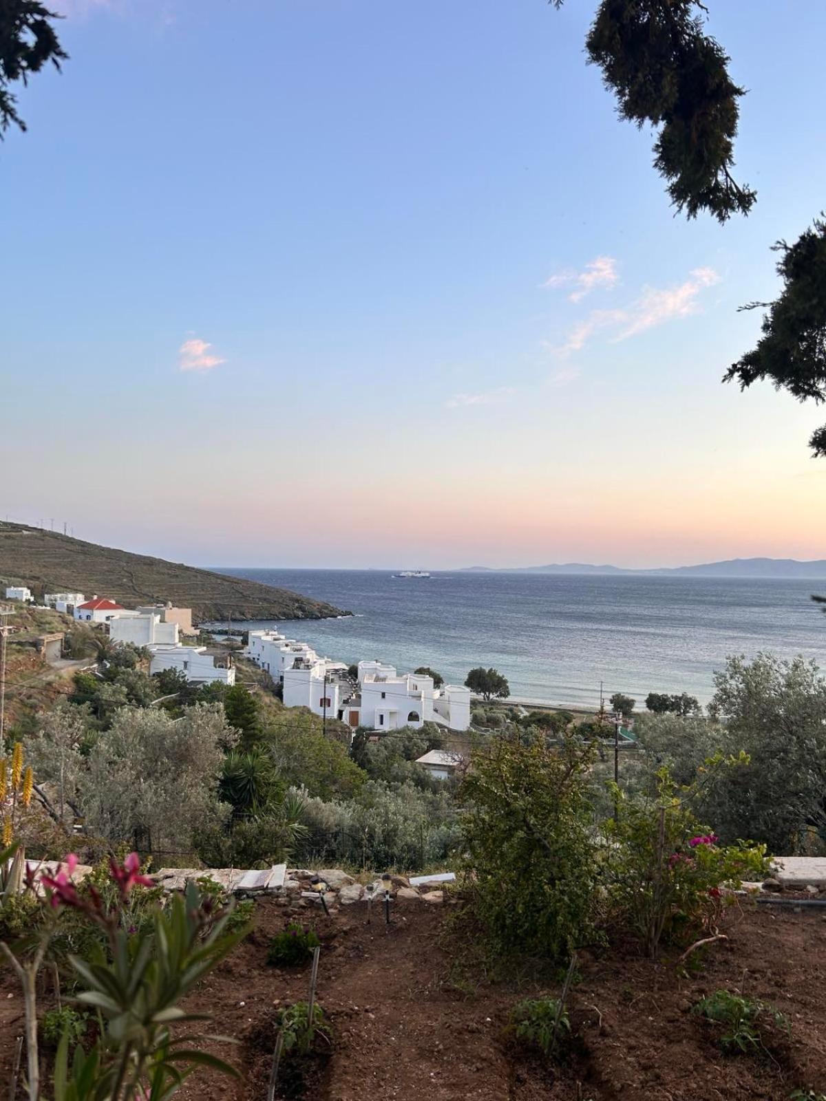 Grandpa Simos' Traditional Guest House Agios Romanos Екстериор снимка