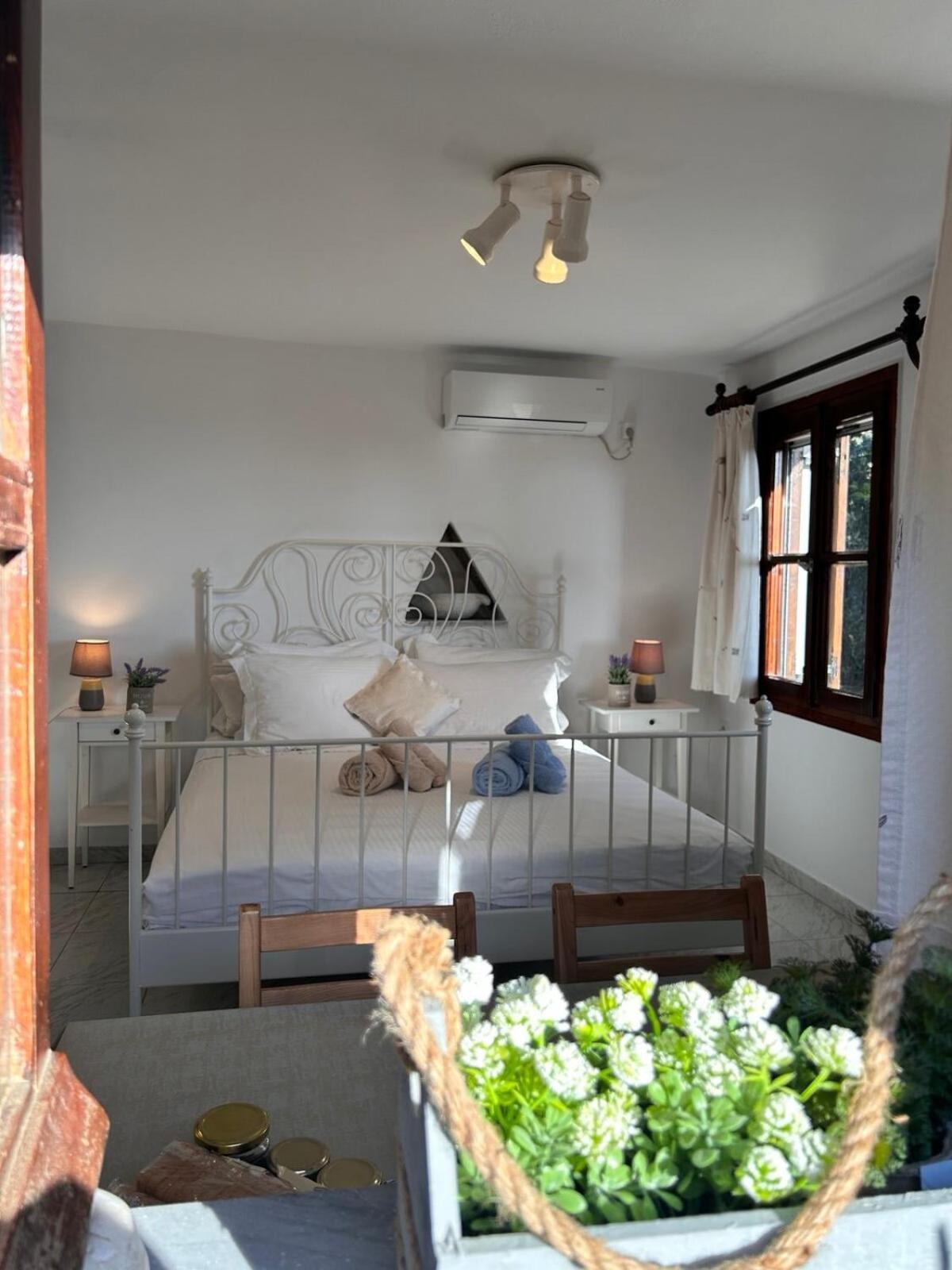 Grandpa Simos' Traditional Guest House Agios Romanos Екстериор снимка