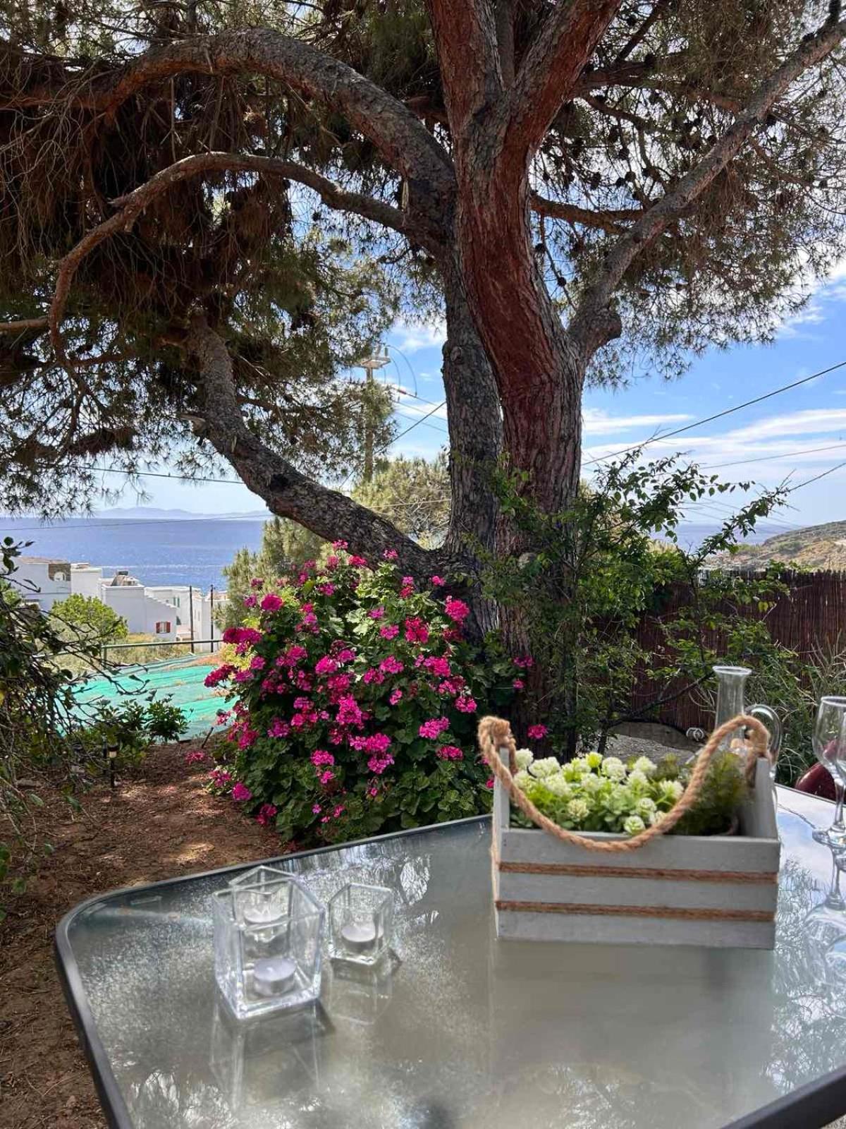 Grandpa Simos' Traditional Guest House Agios Romanos Екстериор снимка