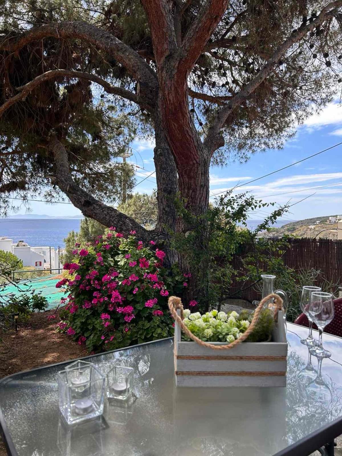 Grandpa Simos' Traditional Guest House Agios Romanos Екстериор снимка