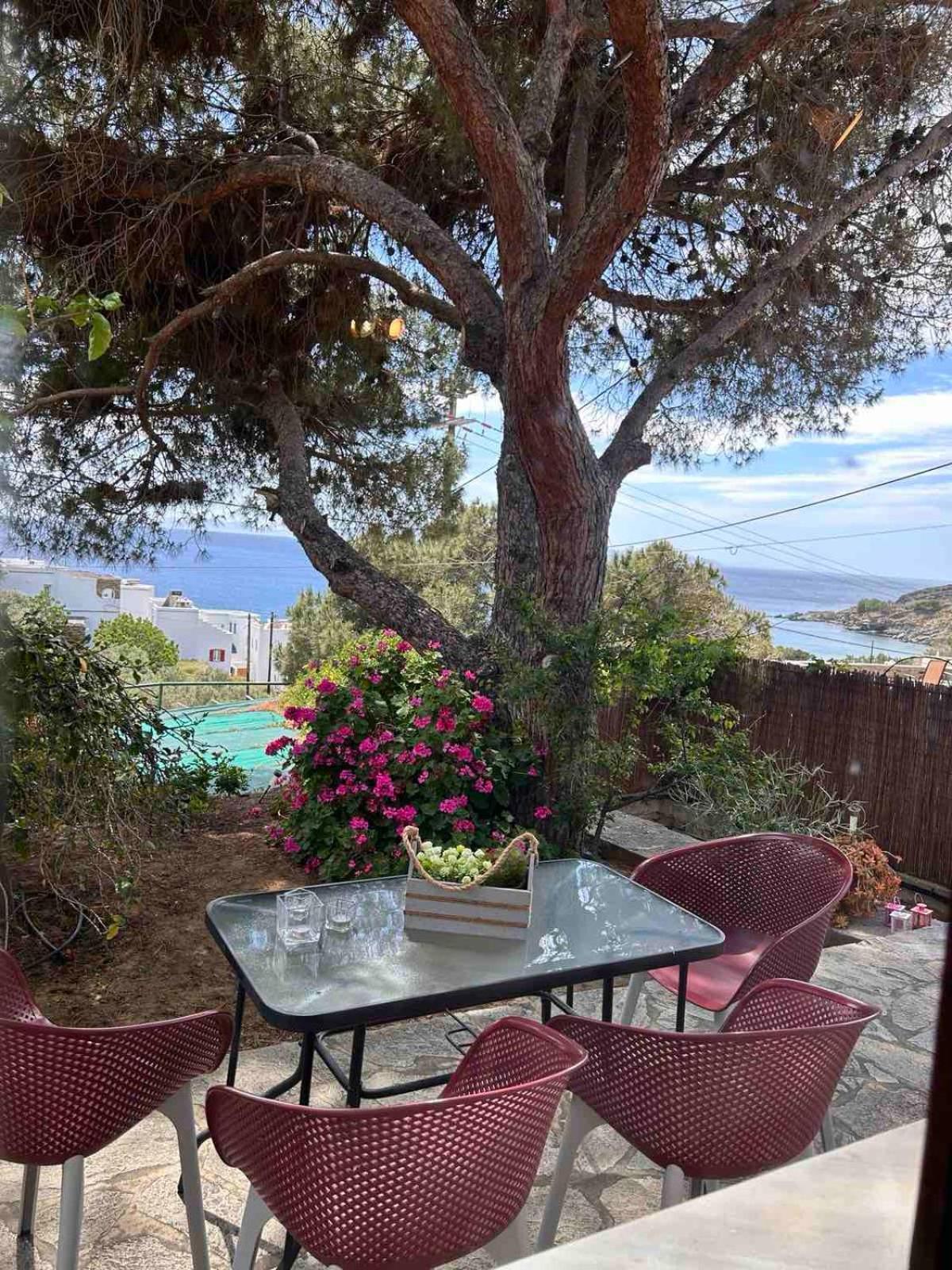 Grandpa Simos' Traditional Guest House Agios Romanos Екстериор снимка
